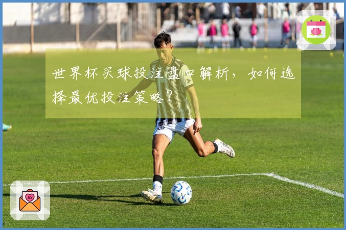 世界杯买球投注盘口解析，如何选择最优投注策略？