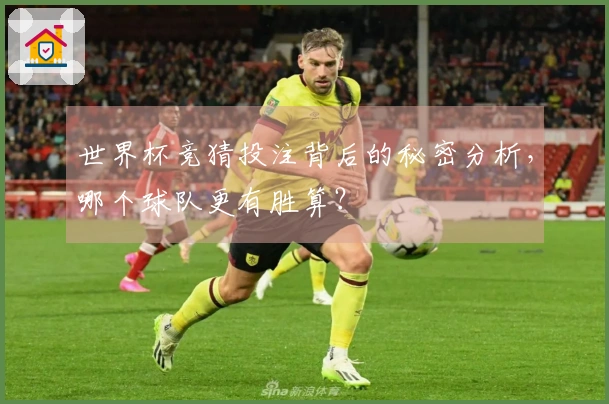 世界杯竞猜投注背后的秘密分析，哪个球队更有胜算？