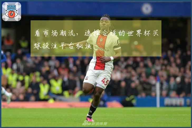 看市场潮流，选择合适的世界杯买球投注平台秘诀