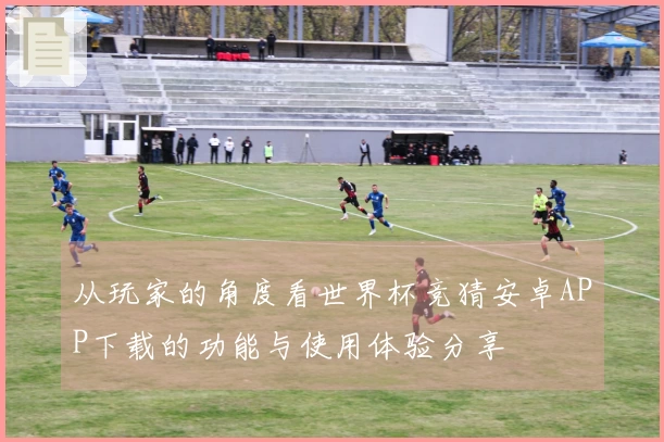 从玩家的角度看世界杯竞猜安卓APP下载的功能与使用体验分享