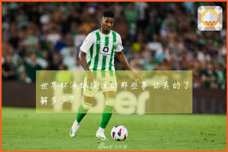 世界杯滚球投注的那些事 你真的了解多少？