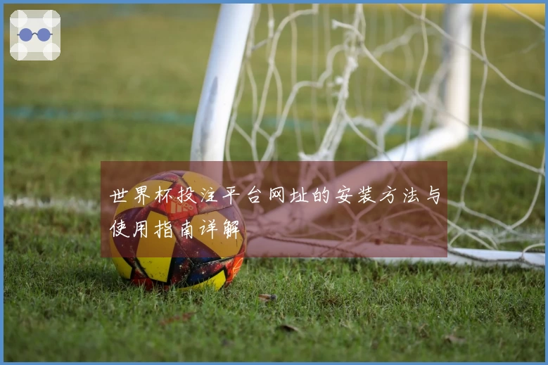 世界杯投注平台网址的安装方法与使用指南详解