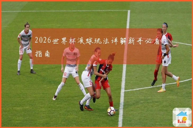 2026世界杯滚球玩法详解新手必看指南