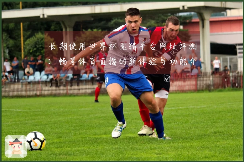 长期使用世界杯竞猜平台网址评测：畅享体育直播的新体验与功能介绍