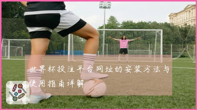 世界杯投注平台网址的安装方法与使用指南详解