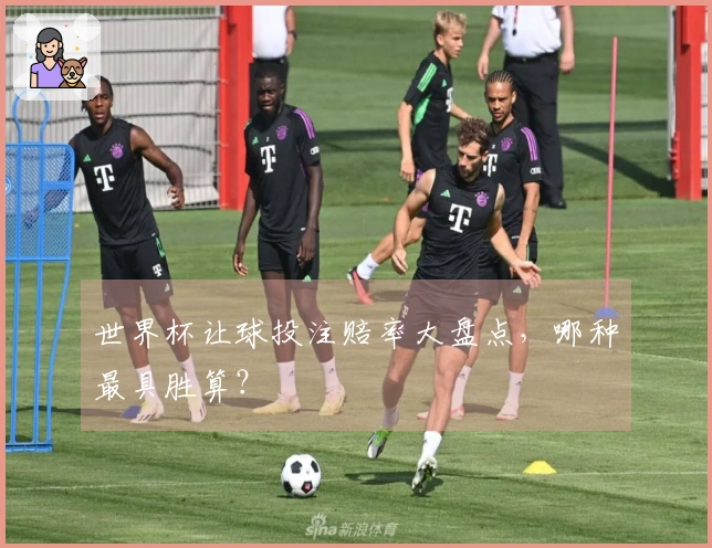世界杯让球投注赔率大盘点，哪种最具胜算？