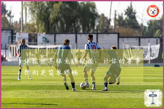 体验世界杯竞猜链接，让你的赛事预测更简单顺畅