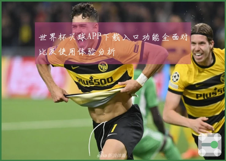 世界杯买球APP下载入口功能全面对比及使用体验分析