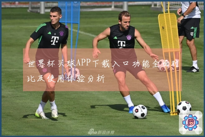 世界杯买球APP下载入口功能全面对比及使用体验分析
