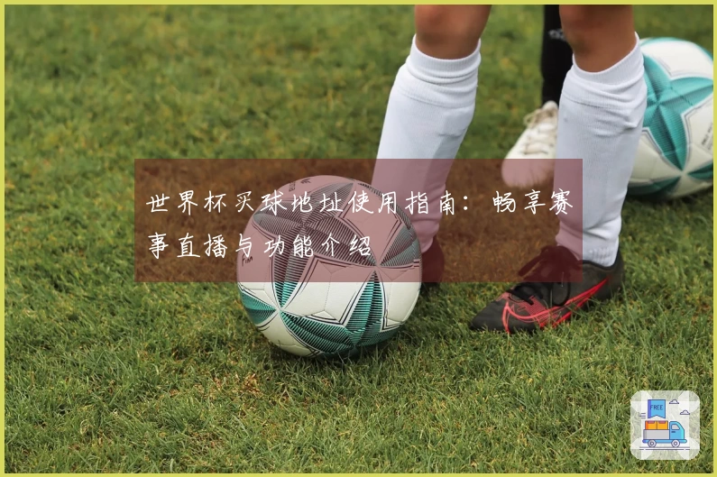世界杯买球地址使用指南：畅享赛事直播与功能介绍