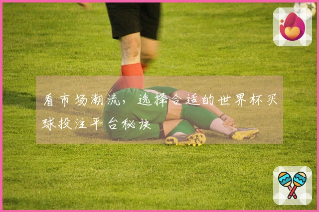 看市场潮流，选择合适的世界杯买球投注平台秘诀