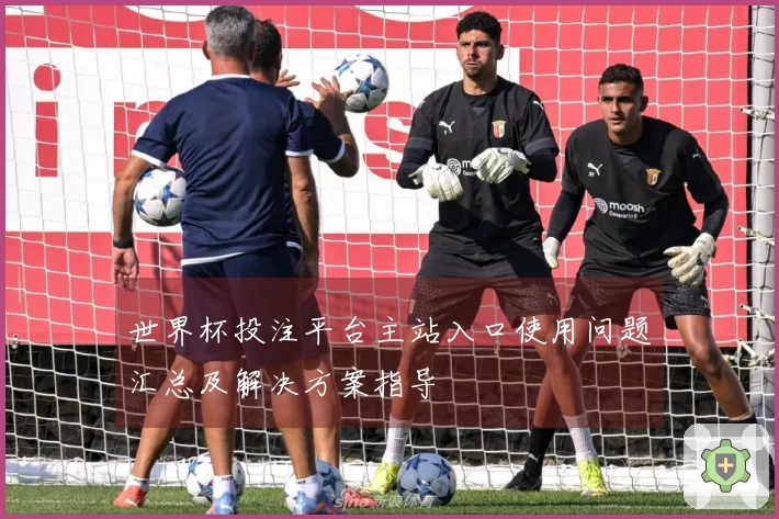 世界杯投注平台主站入口使用问题汇总及解决方案指导