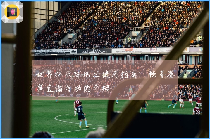 世界杯买球地址使用指南：畅享赛事直播与功能介绍