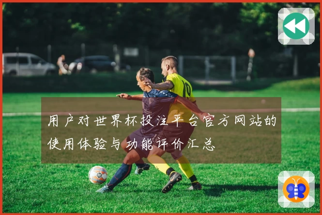 用户对世界杯投注平台官方网站的使用体验与功能评价汇总